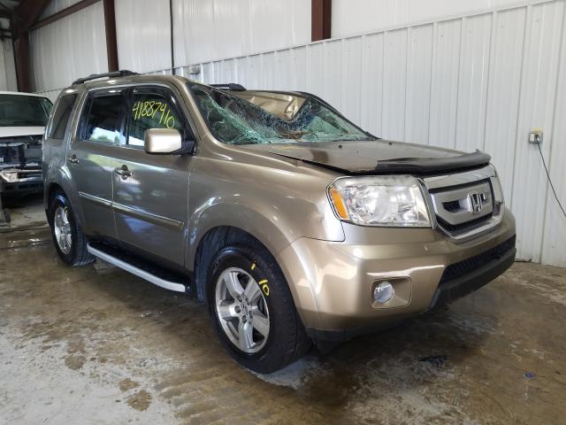 HONDA PILOT EX 2011 5fnyf4h45bb072770