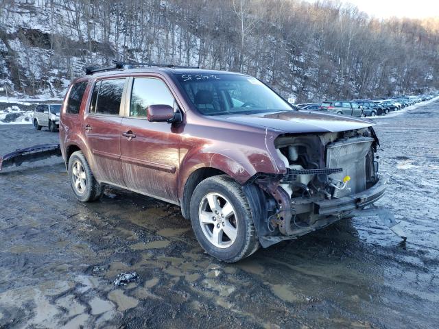 HONDA PILOT EX 2011 5fnyf4h45bb081761