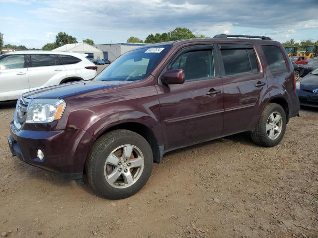 HONDA PILOT EX 2011 5fnyf4h45bb090265