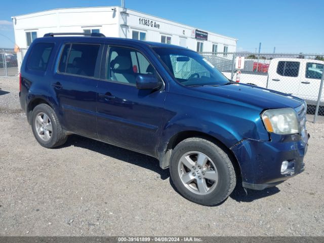 HONDA PILOT 2011 5fnyf4h45bb098821