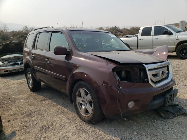 HONDA PILOT EX 2010 5fnyf4h46ab002631