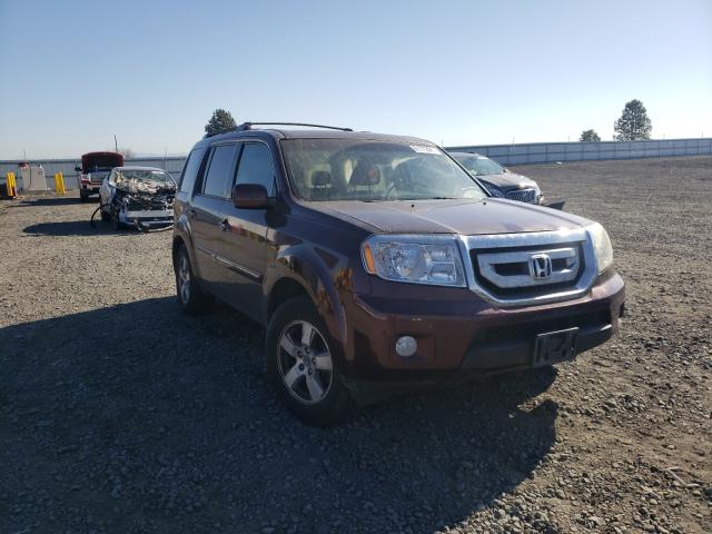 HONDA PILOT EX 2010 5fnyf4h46ab008008