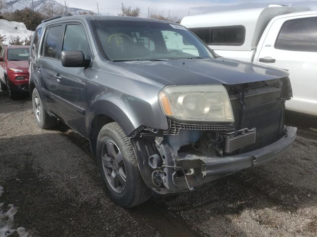 HONDA PILOT EX 2010 5fnyf4h46ab018747