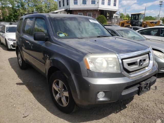 HONDA PILOT 2010 5fnyf4h46ab037329