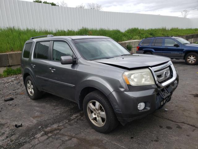 HONDA PILOT EX 2011 5fnyf4h46bb055864