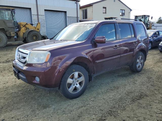 HONDA PILOT EX 2011 5fnyf4h46bb059123