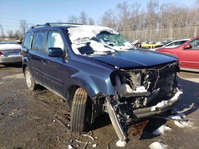 HONDA PILOT EX 2011 5fnyf4h46bb071384