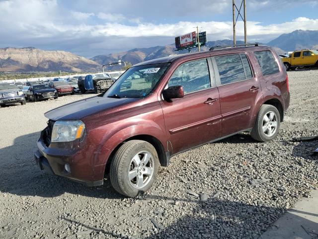 HONDA PILOT EX 2011 5fnyf4h46bb088718