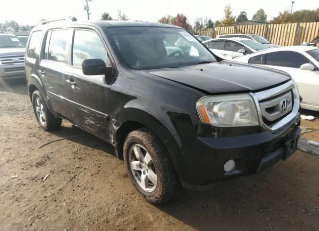 HONDA PILOT 2011 5fnyf4h46bb098424