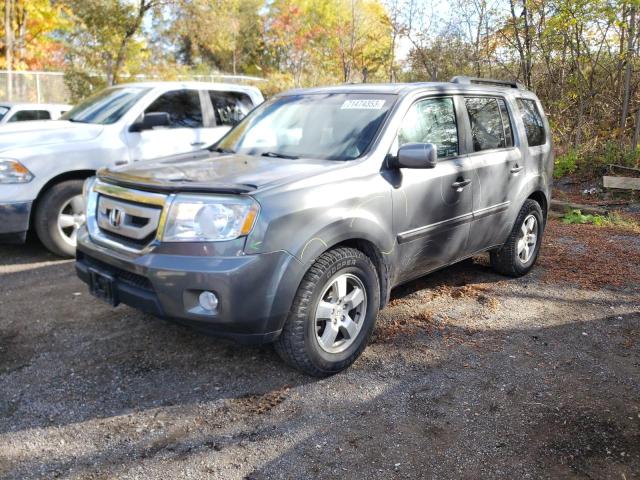 HONDA PILOT 2011 5fnyf4h46bb506761