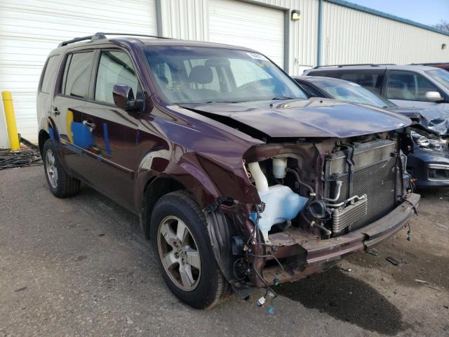 HONDA PILOT EX 2011 5fnyf4h47bb005507