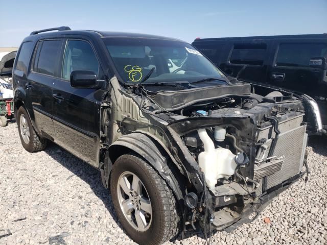 HONDA PILOT EX 2011 5fnyf4h47bb021271