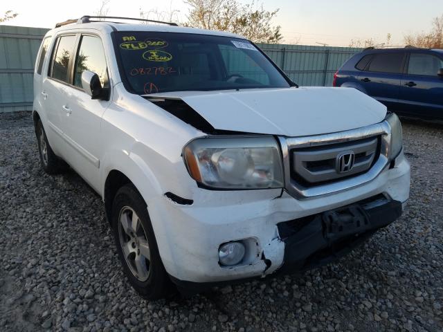 HONDA PILOT EX 2011 5fnyf4h47bb082782