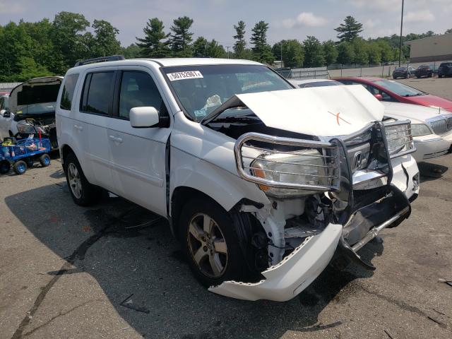 HONDA PILOT EX 2010 5fnyf4h48ab010312