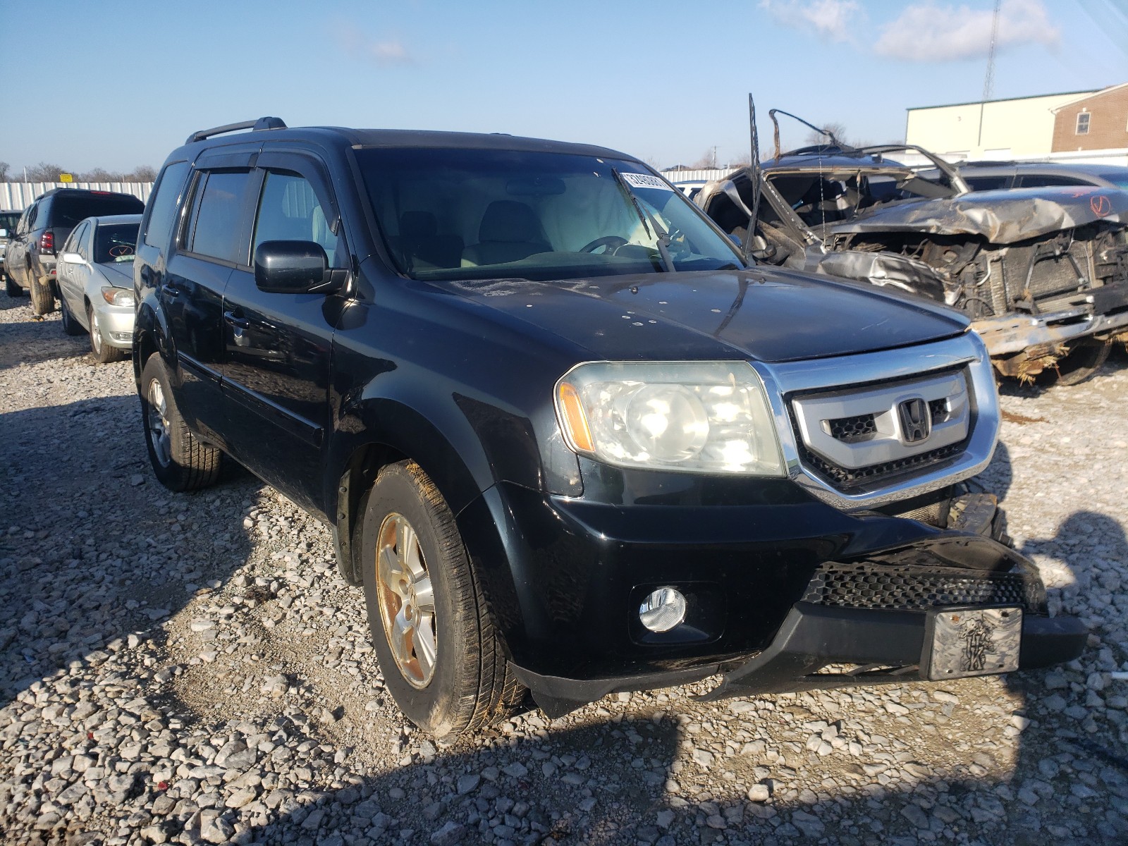 HONDA PILOT EX 2010 5fnyf4h48ab014540