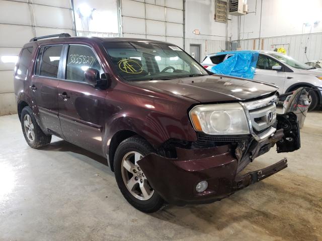 HONDA PILOT EX 2010 5fnyf4h48ab023920