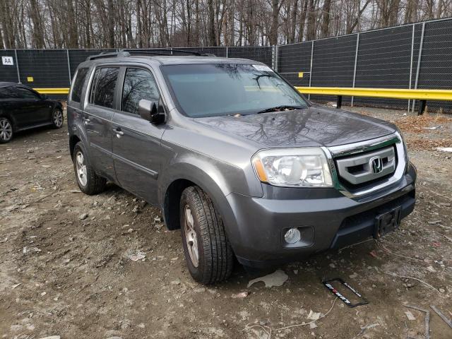 HONDA PILOT EX 2011 5fnyf4h48bb037608