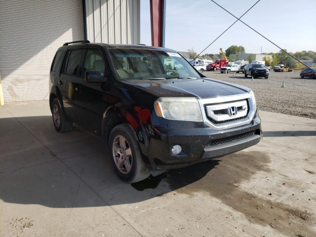 HONDA PILOT EX 2011 5fnyf4h48bb072942