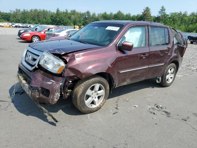 HONDA PILOT EX 2011 5fnyf4h48bb085710