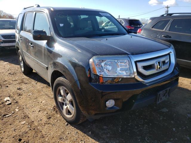 HONDA PILOT EX 2011 5fnyf4h48bb098425