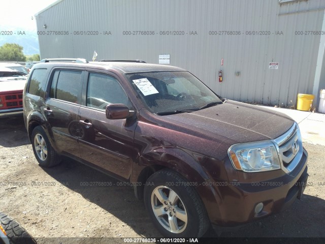 HONDA PILOT 2010 5fnyf4h49ab004096