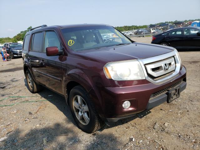 HONDA PILOT EX 2010 5fnyf4h49ab031444