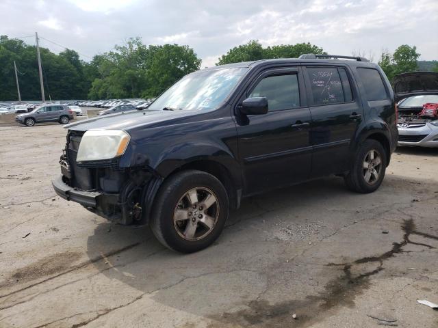 HONDA PILOT EX 2010 5fnyf4h49ab041228