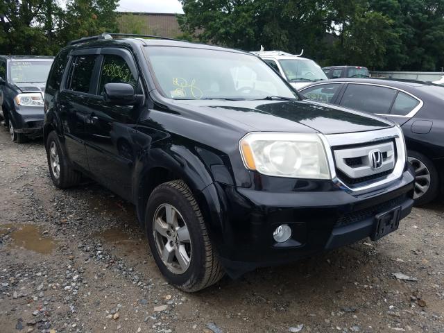 HONDA PILOT EX 2011 5fnyf4h49bb051324