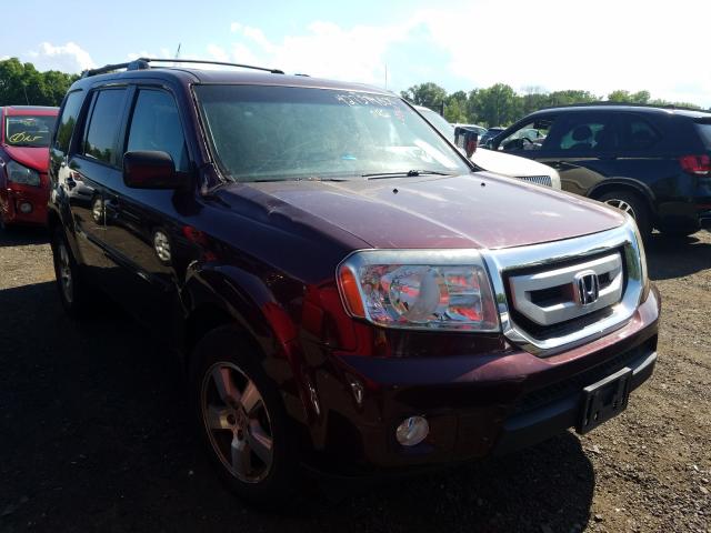 HONDA PILOT EX 2011 5fnyf4h49bb064414