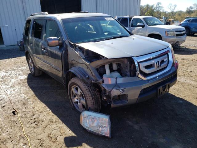 HONDA PILOT EX 2010 5fnyf4h4xab003829