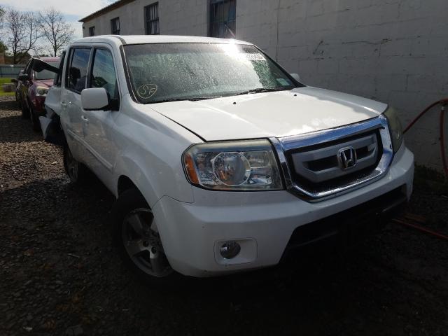 HONDA PILOT EX 2010 5fnyf4h4xab025751