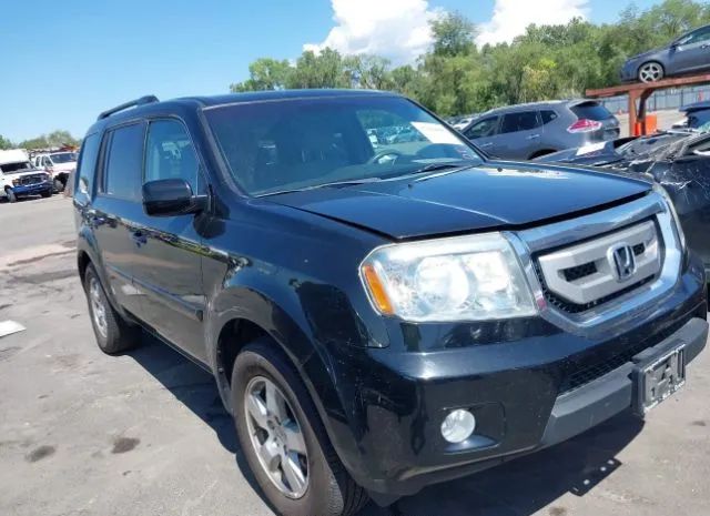 HONDA PILOT 2011 5fnyf4h4xbb028523