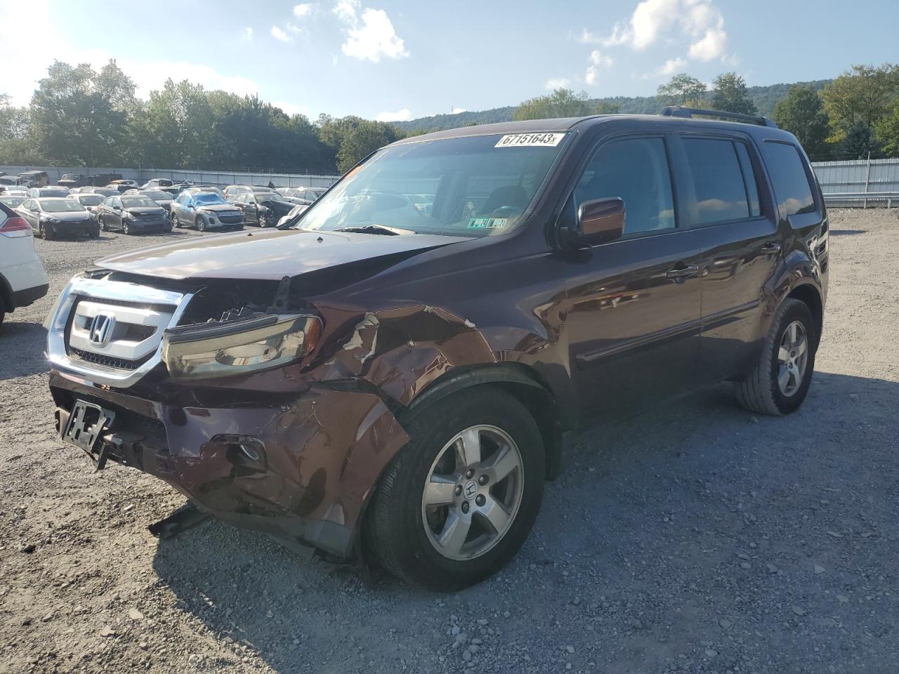 HONDA PILOT 2011 5fnyf4h4xbb064843