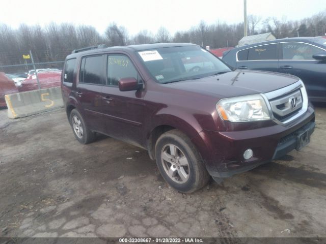 HONDA PILOT 2011 5fnyf4h4xbb097115