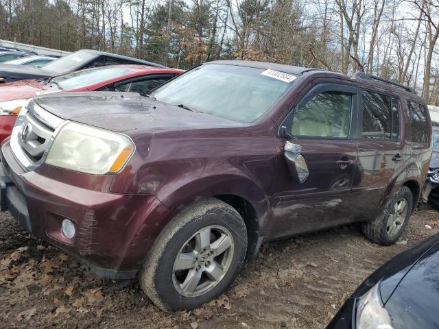 HONDA PILOT 2010 5fnyf4h50ab002911