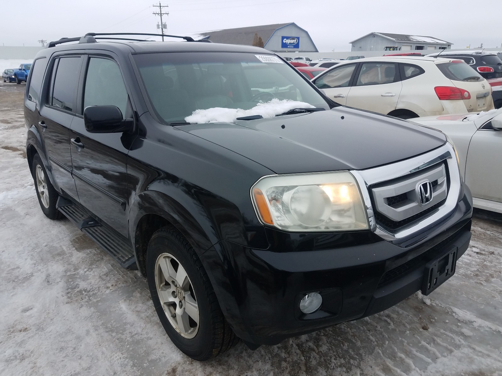 HONDA PILOT EXL 2010 5fnyf4h50ab005291