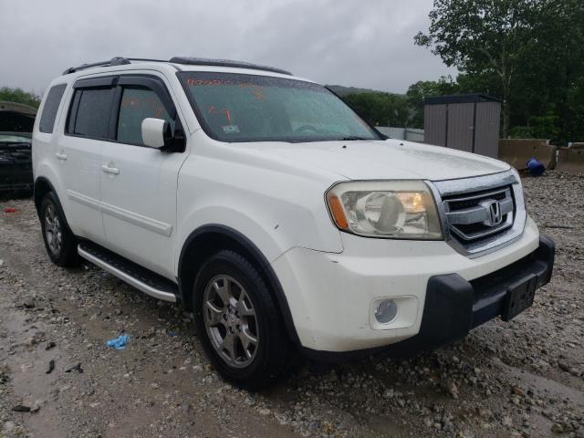 HONDA PILOT EXL 2010 5fnyf4h50ab023547