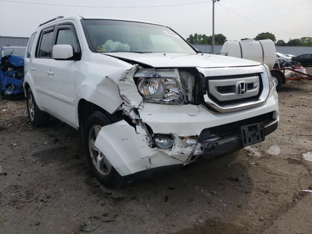 HONDA PILOT EXL 2010 5fnyf4h50ab028781