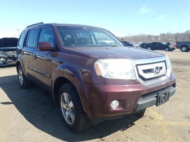 HONDA PILOT EXL 2010 5fnyf4h50ab030952