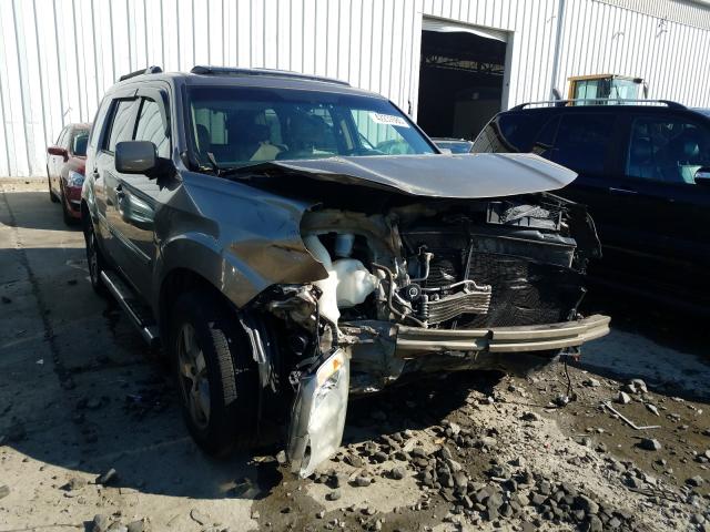 HONDA PILOT EXL 2010 5fnyf4h50ab031390