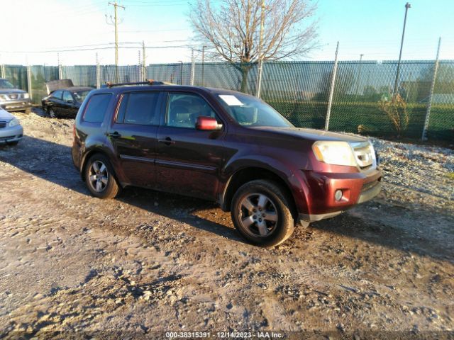 HONDA PILOT 2010 5fnyf4h50ab034645