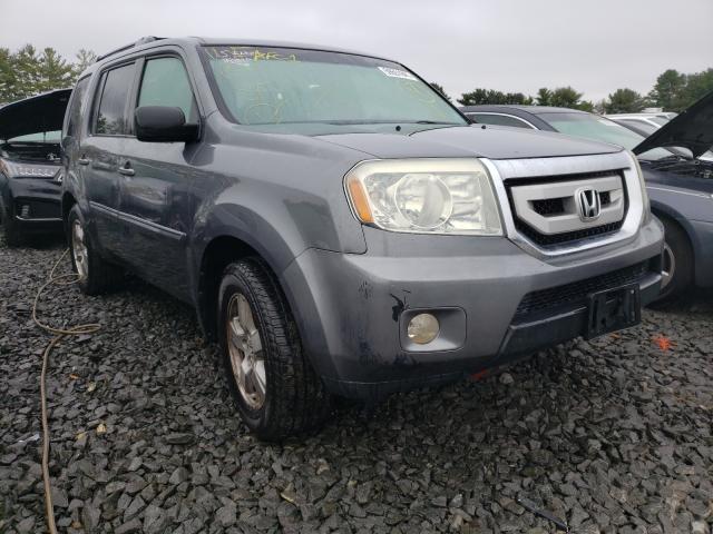 HONDA PILOT EXL 2010 5fnyf4h50ab035469