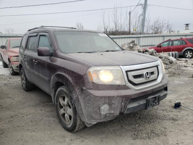 HONDA PILOT EXL 2010 5fnyf4h50ab038677