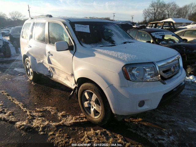 HONDA PILOT 2010 5fnyf4h50ab040798