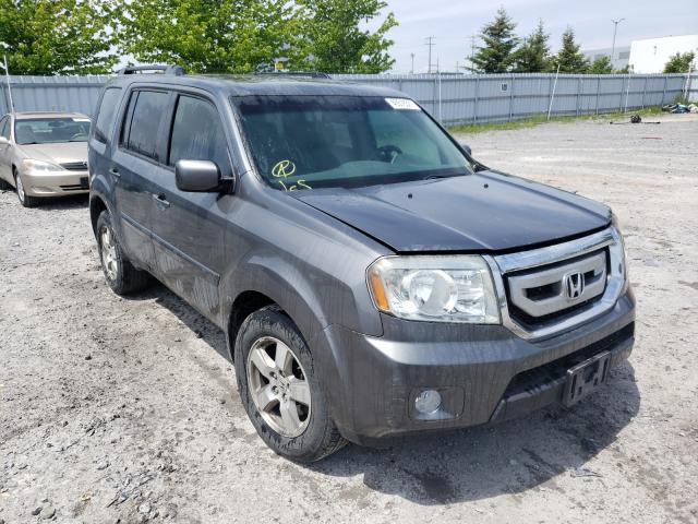 HONDA PILOT EXL 2011 5fnyf4h50bb026725