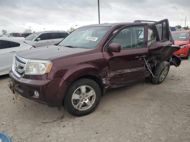 HONDA PILOT EXL 2011 5fnyf4h50bb037255