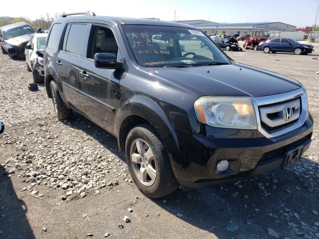 HONDA PILOT EXL 2011 5fnyf4h50bb039989