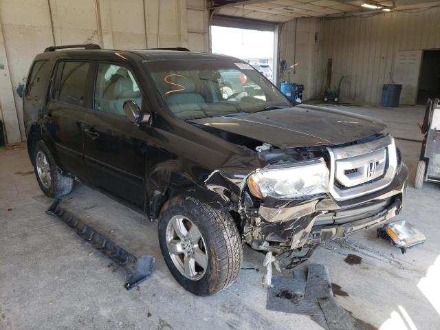 HONDA PILOT EXL 2011 5fnyf4h50bb055593