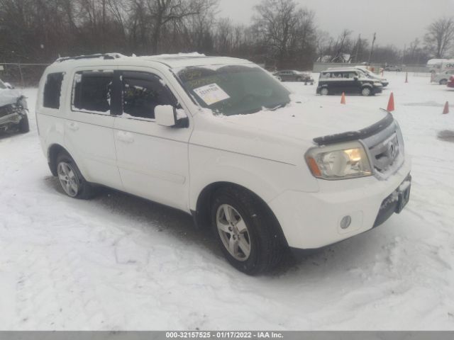 HONDA PILOT 2011 5fnyf4h50bb060535