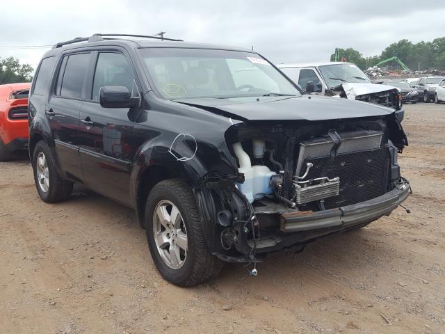 HONDA PILOT EXL 2011 5fnyf4h50bb073608